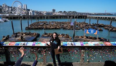 2,000 sea lions have made their home in San Francisco