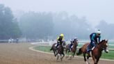 Moose on the Loose: Belmont Stakes at Saratoga