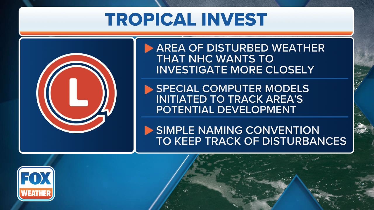 Tropical disturbance 94L monitored for possible future development in Gulf of Mexico