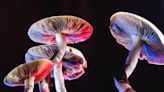 Colorado leads the nation in fascination with psychedelics