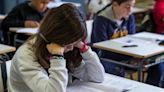 Educación: casi el 30% de los alumnos del país van a colegios privados | Sociedad