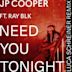 Need You Tonight [Luca Schreiner Remix]