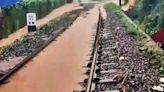 Many trains fully, partially cancelled in Kerala