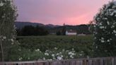 First Person: Special flower places of the Napa Valley