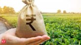 Budget: India's food subsidies to cost 11% more than initially planned? - The Economic Times