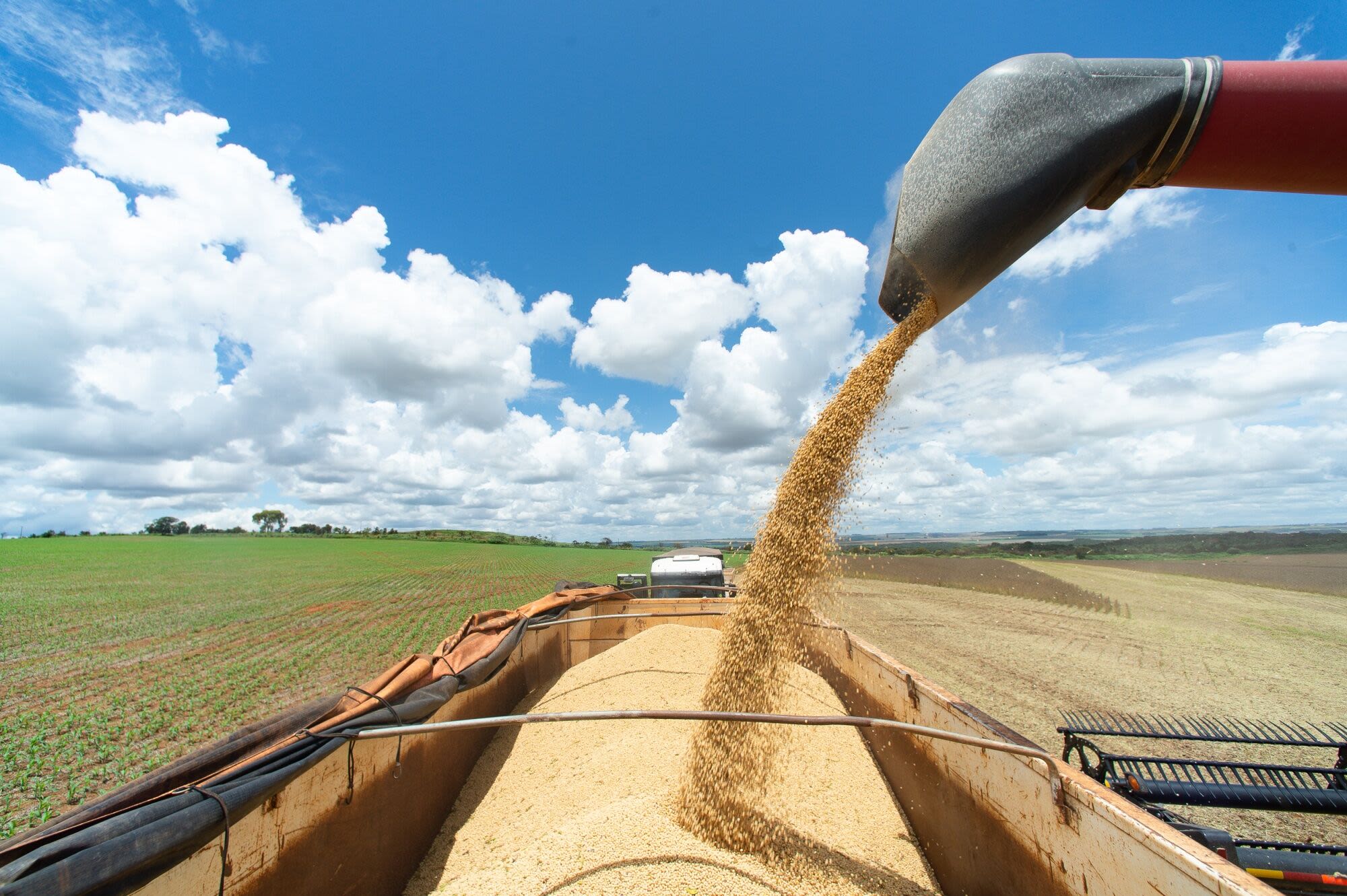 Surprise Tax Change Upends Trading in Crop Powerhouse Brazil