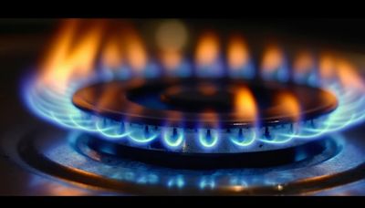 Falta de gas: las cinco razones que explican los cortes y a qué sectores afecta