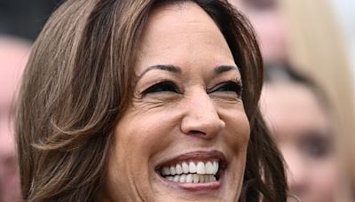 A breakdown of the biggest Kamala Harris memes, for those who just fell out of a coconut tree - The Boston Globe