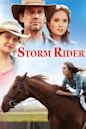 Storm Rider (2013 film)