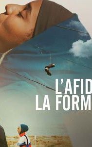 L'afide e la formica