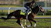 After top betting choices Fierceness and Sierra Leone, it's wide open for the 150th Kentucky Derby