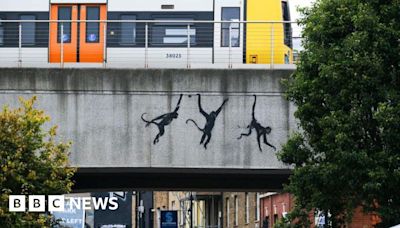 What's behind Banksy's urban jungle?