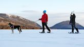 How to keep your dog safe around ice this winter