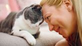 Why Do Cats Headbutt — Vets Reveal 4 Things They May Be Trying to Tell You