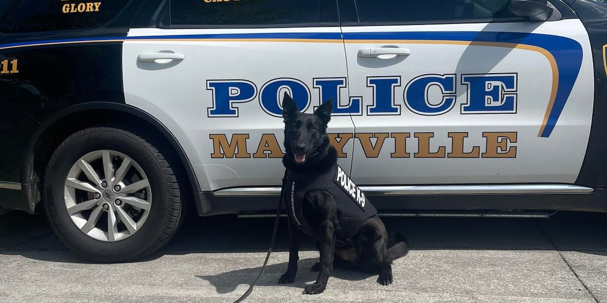 Maryville Police Department K-9 receives body armor donation