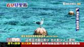 這裡發現大量石油 霸氣總理一句「保護海洋」禁止開採！