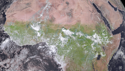 An unusual shift in the weather has turned the Sahara green