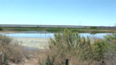 Rio Grande Basin receiving $60 million for drought resilience from federal government - KVIA