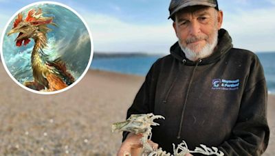 'Sea monster skeleton' found in quirky stunt