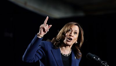 "Totally stupid and dumb": Even some Republicans fear "DEI" attack on Kamala Harris will backfire