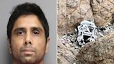 Doctor Who Drove Tesla Off Cliff with Family Inside Thought Kids Would Be Sex Trafficked: D.A.