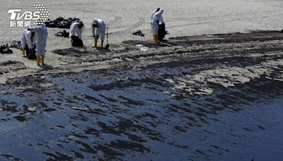 海獺難受打滾！新加坡2船相撞漏油 「聖淘沙」遭汙染│TVBS新聞網