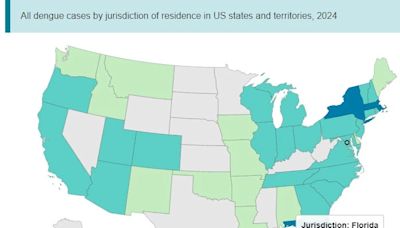 16 dengue cases reported in NC, including Buncombe: What to know about mosquito-borne virus