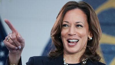 Harris dodging flip-flop attacks as faceless surrogates flip on key positions: 'Playing politics'