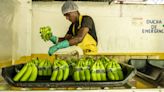 British shoppers’ support for Fairtrade holds strong as organisation turns 30