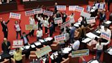 立院藍白聯手決議凍漲電價 政院：依法執行審議結果