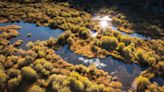 Colorado lawmakers agree on approach to protect state wetlands