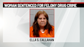 Fayette County woman sentenced for felony drug crime