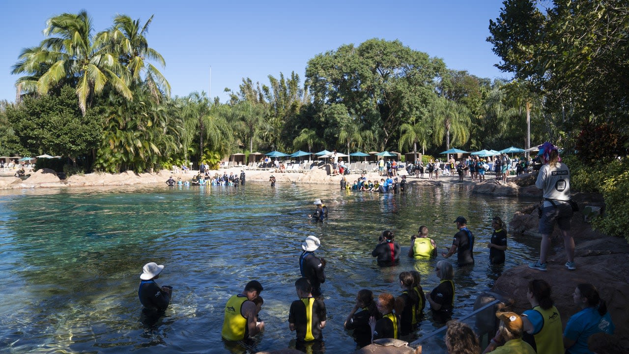 Child found unresponsive in Discovery Cove Orlando pool, deputies say