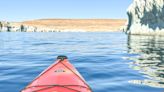 Lake Powell kayak guide rescues stranded coyote