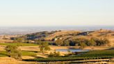 Barossa Valley Might Be the Most Famous Wine Region of Australia: Here’s Another You Should Know