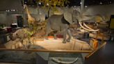 Sioux Falls pauses plan to ditch arsenic-contaminated taxidermy display at state's largest zoo