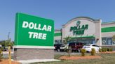 10 artículos de Dollar Tree a $1.25 que sirven para mejorar tu hogar - La Opinión