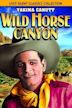 Wild Horse Canyon (1925 film)