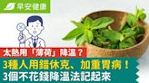 太熱用「薄荷」降溫？3種人用錯休克、加重胃病！3個不花錢降溫法記起來