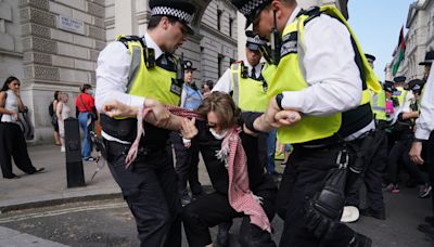 Nine arrested after pro-Palestine protesters block entrance to Foreign Office