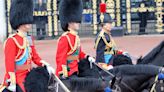 Princess Anne Appears to Have Trouble With Her Horse at 2024 Trooping the Colour