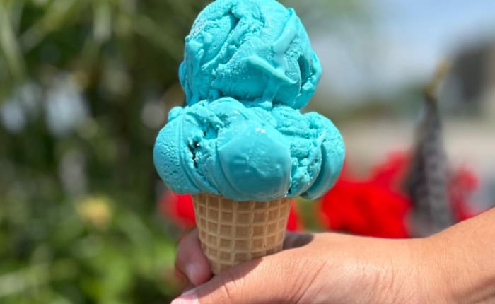 This popular Michigan ice cream shop is closing after 66 seasons