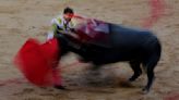 España suprime el Premio Nacional de Tauromaquia; rechaza premiar el maltrato animal