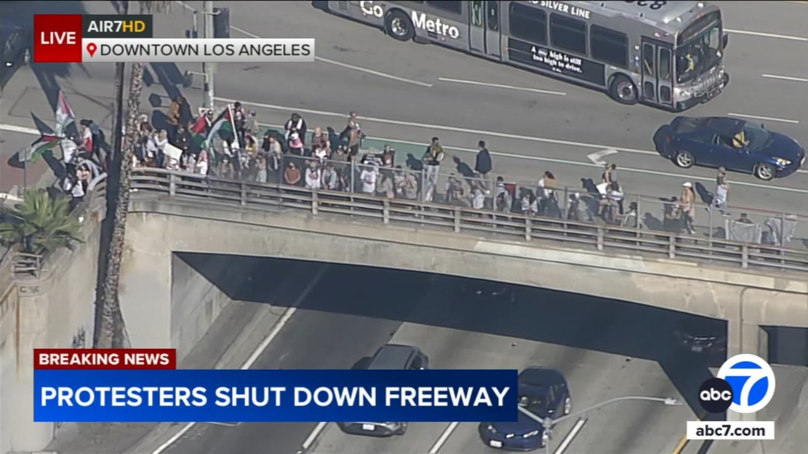 Dozens of pro-Palestinian protesters march from 101 Freeway to LA City Hall