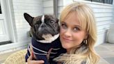 Reese Witherspoon's $135 Striped Sweater Is Nearly Identical to My Favorite $40 Amazon Style