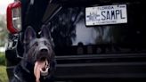 Florida license plate will honor K9s for National Police Week