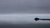 Rare sighting of endangered sea creatures leaves biologist in tears. ‘I was in awe’