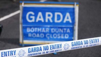 Woman dies, two men airlifted to hospital following Carlow collision - Homepage - Western People
