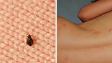 Don't Ignore This Telltale Smell — It Could Mean You Have Bed Bugs Invading Your Home