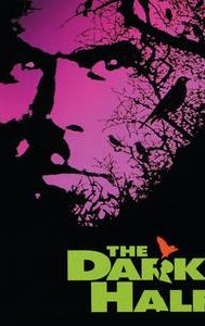 The Dark Half (film)